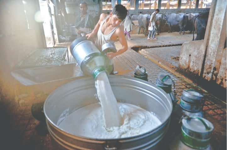 CCP Inquiry Reveals Price Fixing and Cartels in Milk Industry